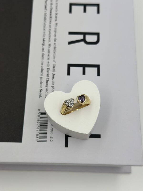 İkili Kalp Işıltısı Çelik Yüzük