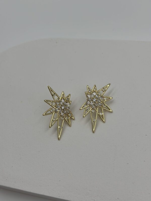 MODERN STAR ÇELİK KÜPE