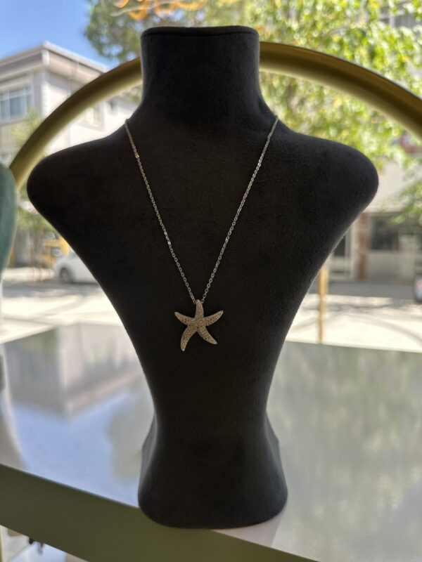 TAŞLI ÇELİK DENİZ YILDIZI KOLYE