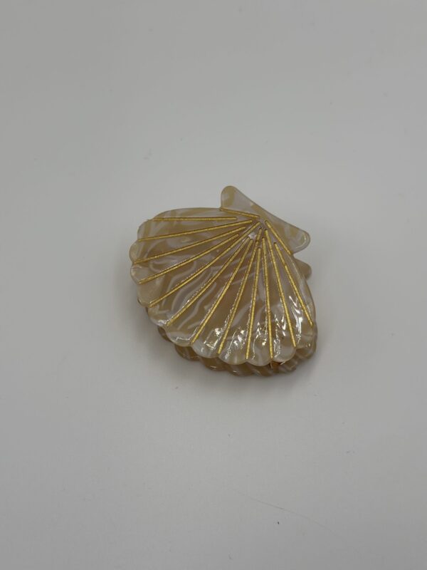 SEDEF-KREM DENİZ KABUĞU TOKA